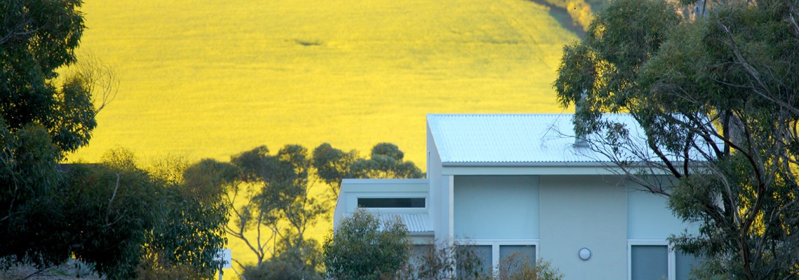 ValleyCanola