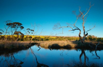 Tanonga Billabong