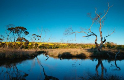 Tanonga Billabong